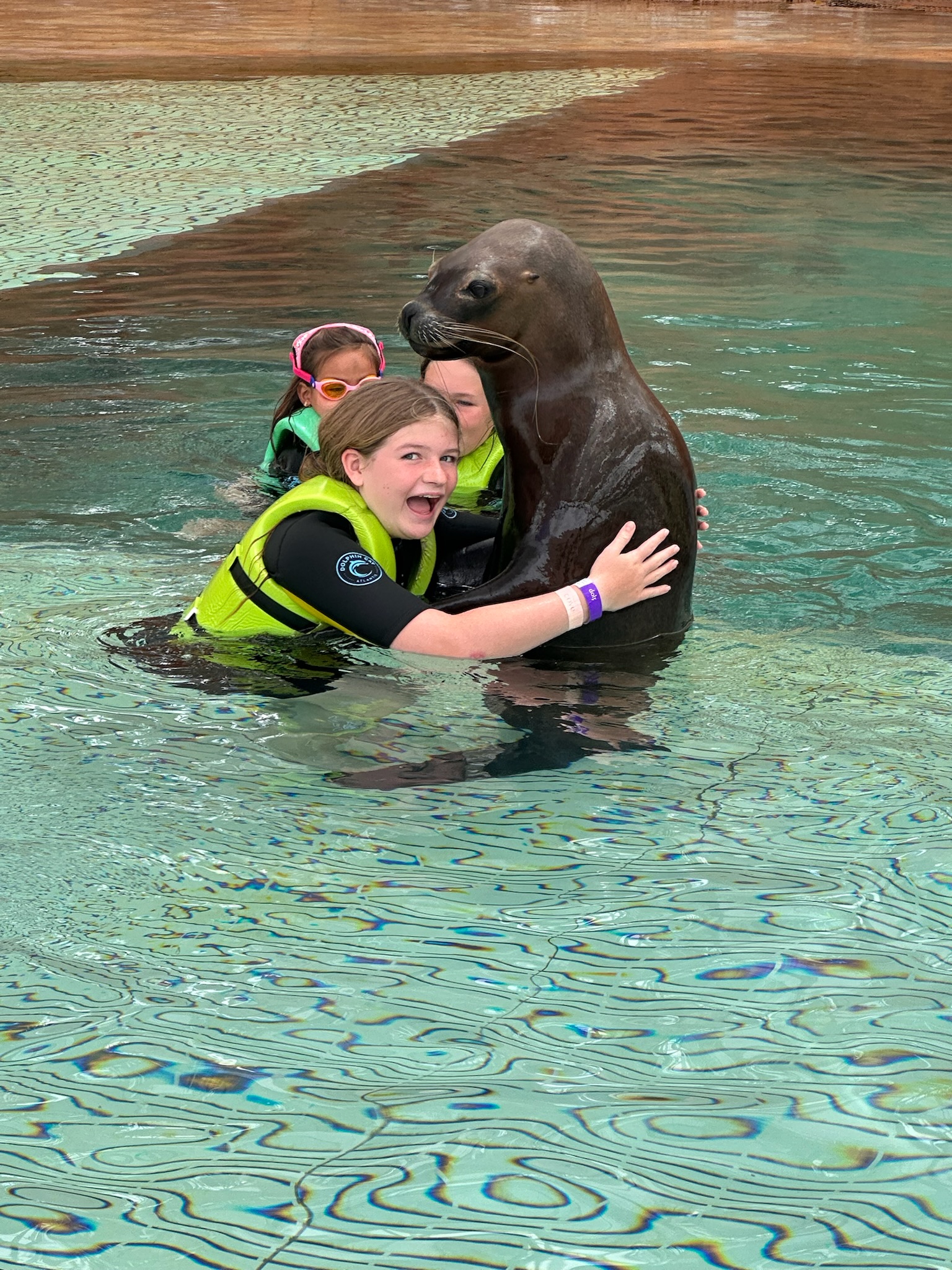 Mac with seal